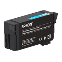 Epson T40D2 tintes kasete, 50 ml